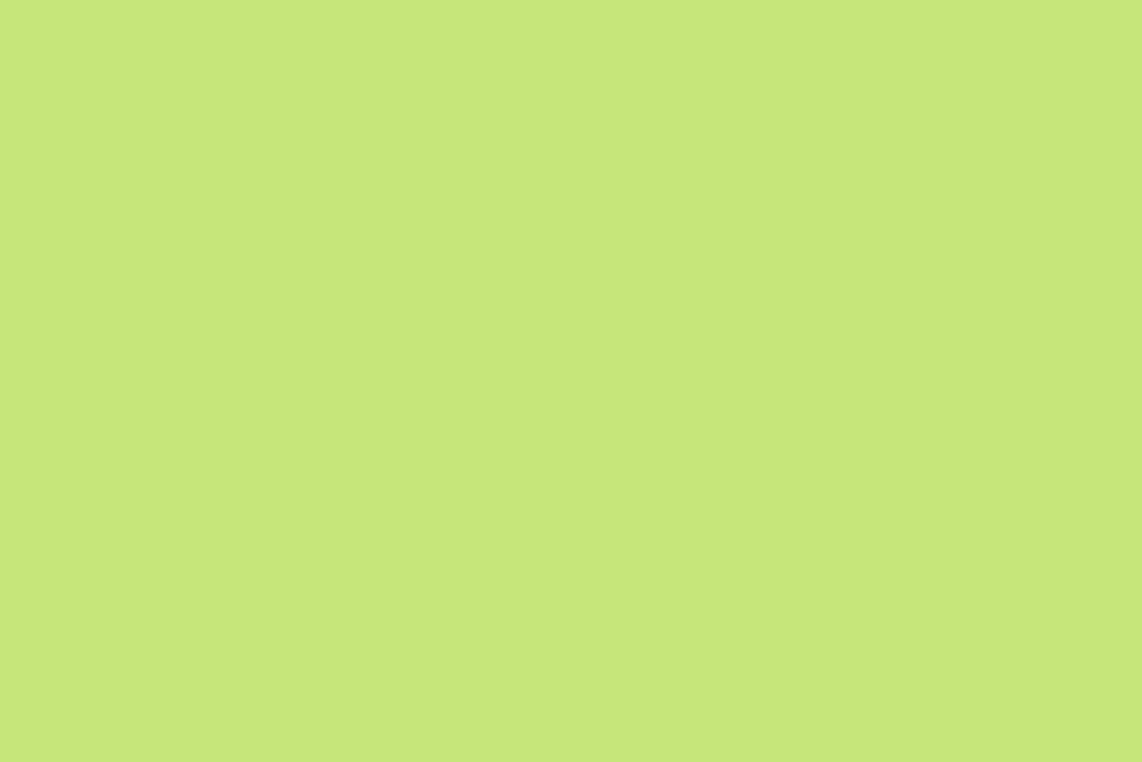  9027 Sharp Green,  , 30/1, , , 140-150 gr (34/28), 100% , /   