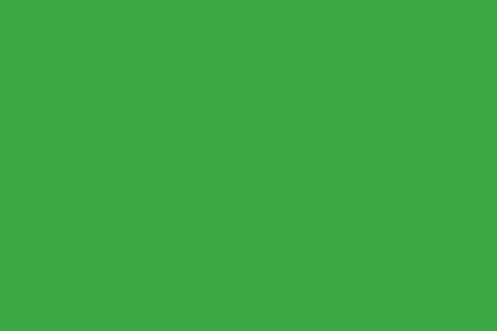  9934 Classic Green,   , 30/1, , , 210-230 gr (34/18), 95%  + 5% , /   