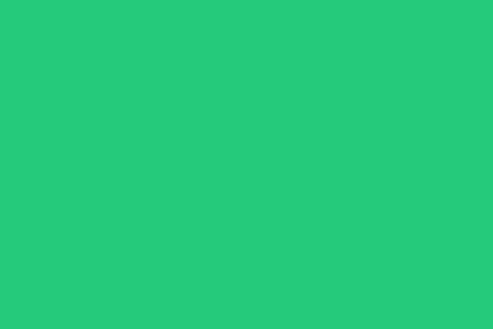   Green Neon, , , 250 gr, 87%  + 13% ,    