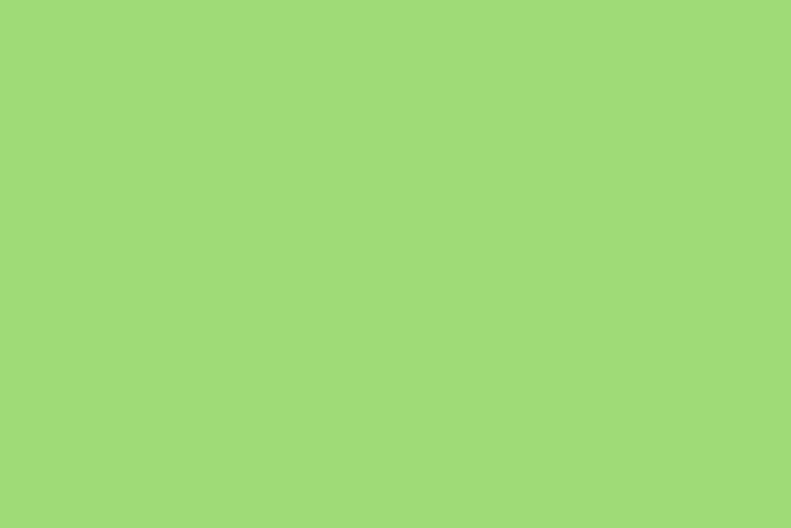  9028 Lime Green, , 40/1, , , 175 gr, 100% , /   