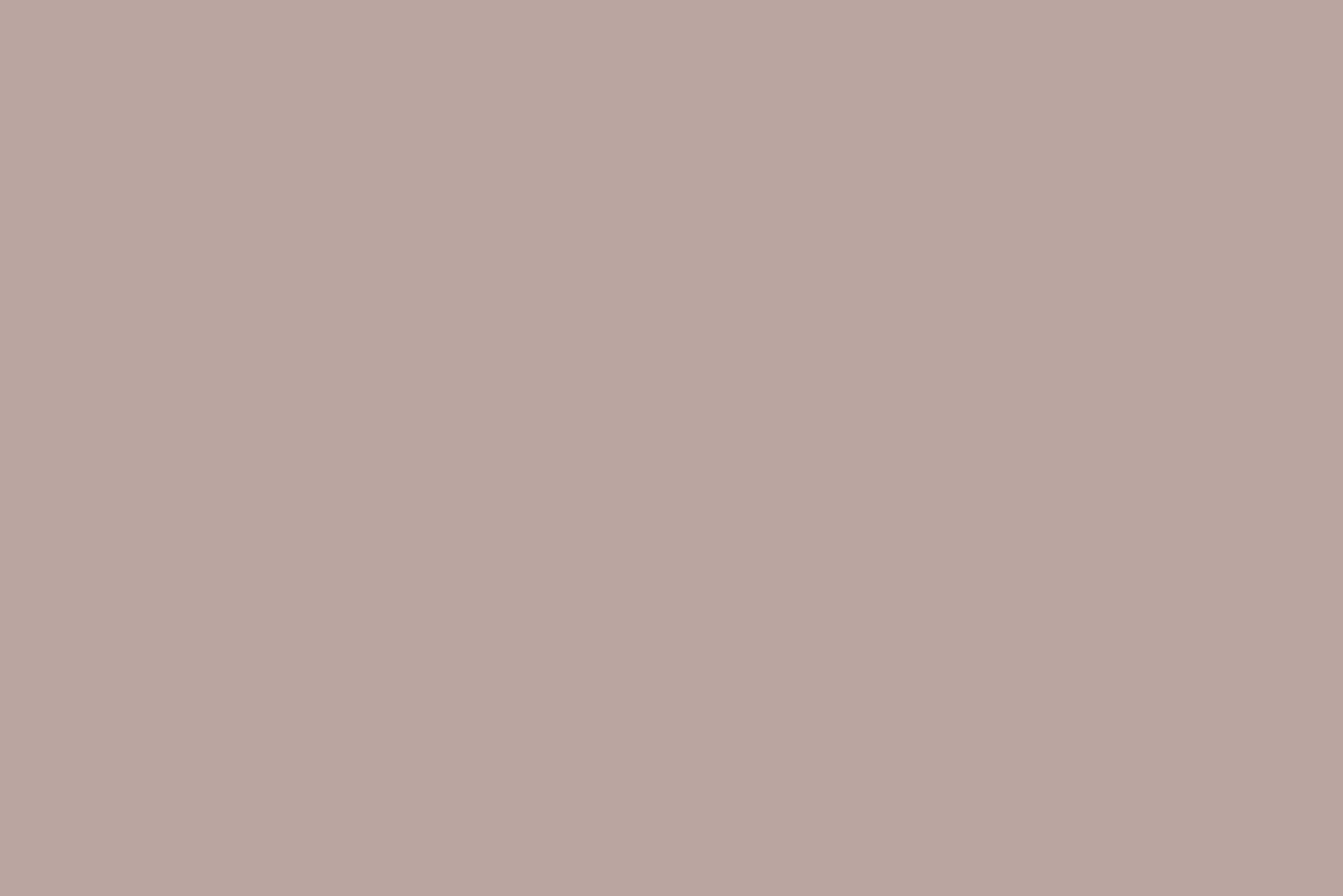  9954 Shadow Gray,   , 30/1, , , 210-230 gr (34/18), 95%  + 5% , /   
