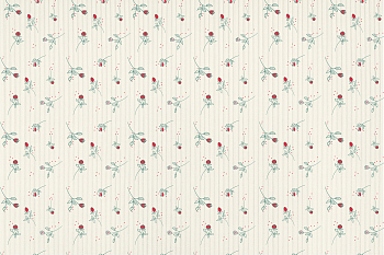 картинка Т532 Тюльпаны, colour 9050а/6052/9004*, Интерлок с выставом (3х1), 40/1, пачка, пенье, 180 gr, 100% хлопок, принт_пигмент, Rutkani от компании Руткани