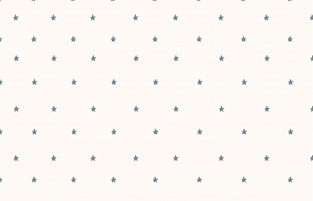 картинка Т106 Звездочки, colour 9050s/8004*(ma), Кулирная гладь, 30/1, пачка, кардная, 145 gr, 100% хлопок, принт_пигмент, Rutkani от компании Руткани